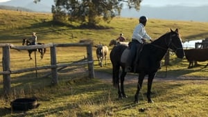 Cattle Muster