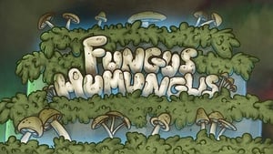 Fungus Humungus