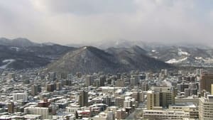 Forests in Sapporo, Winter