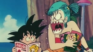 Bulma's Bad Day