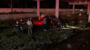 Violent Attack Investigation