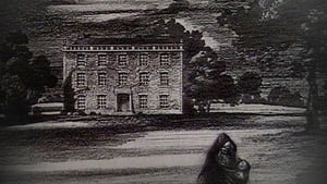 The Mezzotint