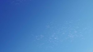 Mossa a sorpresa di Darius