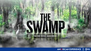 The Swamp