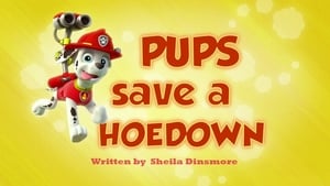 Pups Save a Hoedown