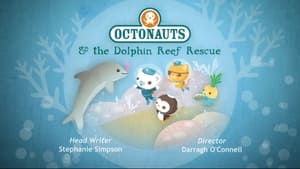 The Dolphin Reef Rescue