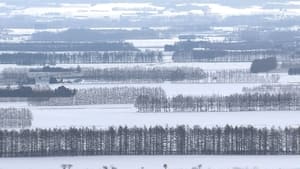 Tokachi Plain in Winter