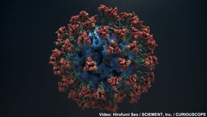 Exposing the Coronavirus: Our Invisible Enemy in 3DCG