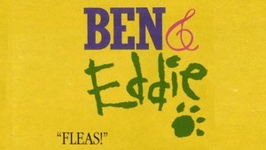 Fleas! – Disappointment and Forgiveness