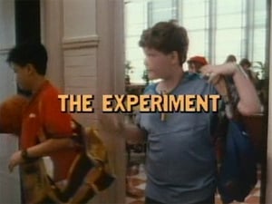 The Experiment