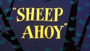 Sheep Ahoy