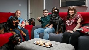 Episode 15