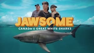 Jawsome: Canada’s Great White Sharks