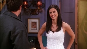 The One with the Cheap Wedding Dress