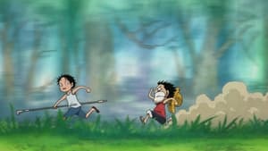 Luffy and Ace! The Story of How the Brothers Met!