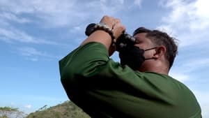 Eyes on the Sky: Vulture Man of Phuket