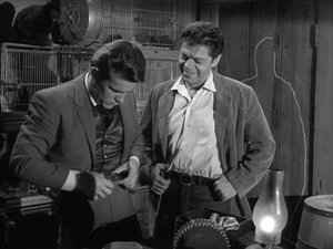 The Night of the Sudden Plague