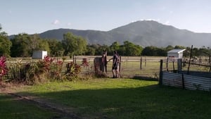 Cairns QLD: The Clearys