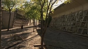 The Igualada Cemetery