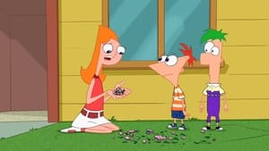 Candace Disconnected