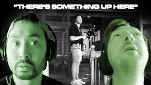 Alone Together Part 2: The Wild First 12 Hours of our Sorrel Weed Investigation