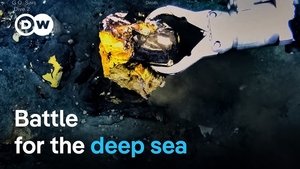 Deep sea mining: What’s the true cost of renewable energies?