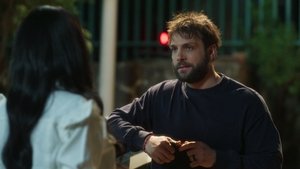 El dinero de Leonel