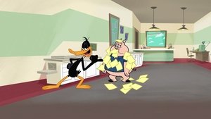 Copy Quack