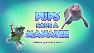 Pups Save a Manatee