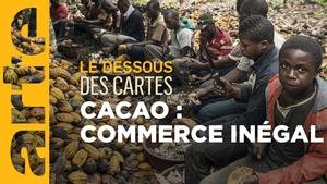 Cacao: Who Profits from Chocolate?