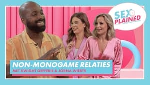 Non-Monogamy explained