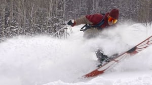 Enjoy Japow: Tomamu