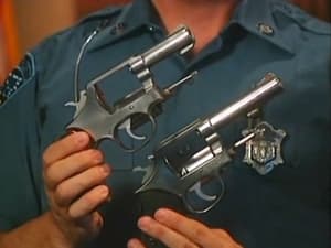 Police Guns