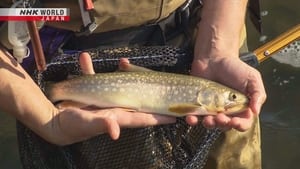 Stream, Lake, and Sea Fishing on Rebun Island