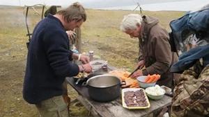 Et rensdyr på Svalbard