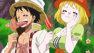 A Mysterious Forest Full of Candies! Luffy vs. Luffy?!