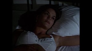 The Rabbit and the Fox