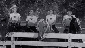 The Big Rodeo