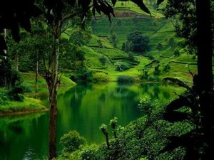 Sri Lanka: Monsoon Island