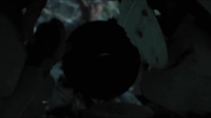 Episode 33