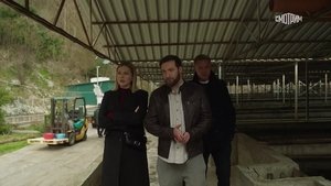Episode 14