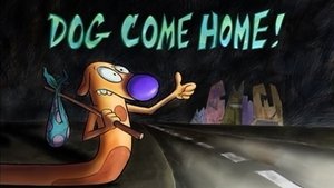 Dog Come Home!