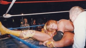 The Final Days of Owen Hart