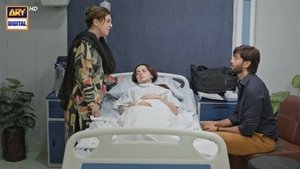 Episode 33