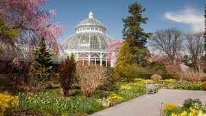 The New York Botanical Garden