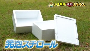 Episode 241