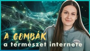 Tovább merülünk a GOMBÁK VÉGTELEN HÁLÓZATÁBA