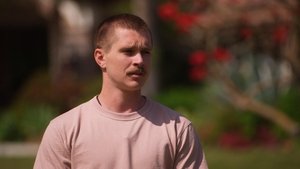 Blood, Sweat and Returning Peers