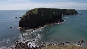 Dig by Wire - Gateholm Island, Pembrokeshire