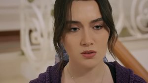 Episode 206